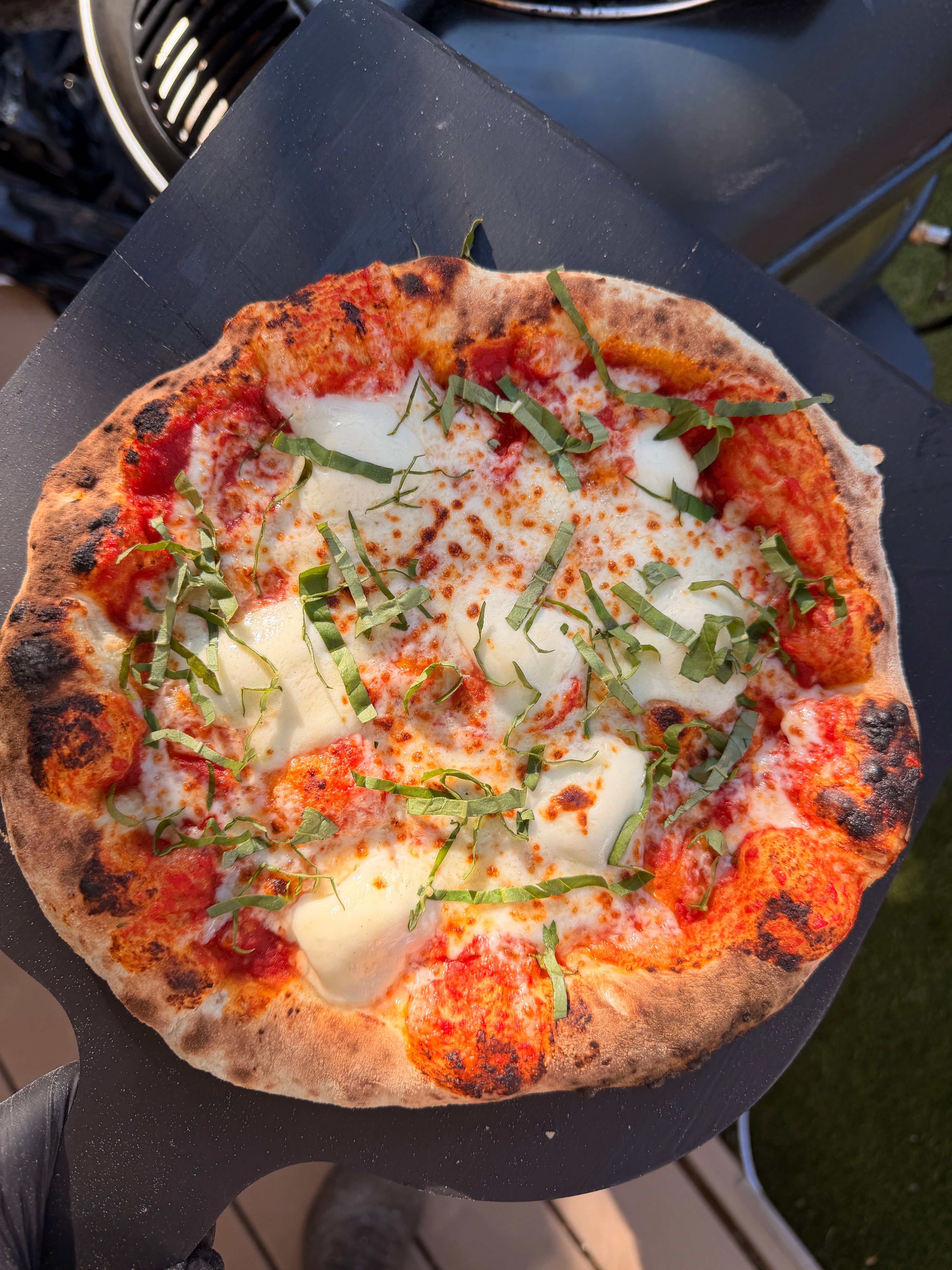 MARGHERITA